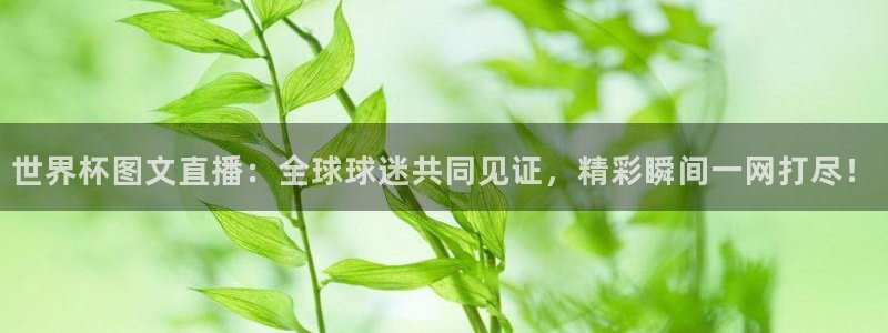 2026足球世界杯赛程：世界杯图文直播：全球球迷共同见证，精彩瞬间一网打尽！