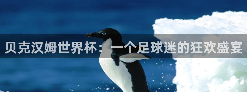 足球世界杯预选赛：贝克汉姆世界杯：一个足球迷的狂欢盛宴