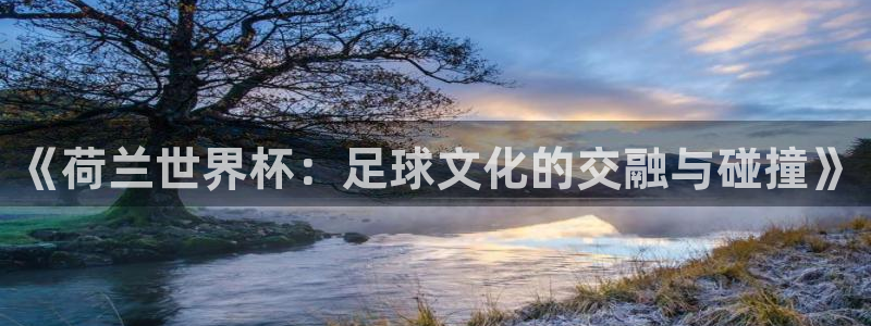 世界杯预选赛亚洲区积分榜：《荷兰世界杯：足球文化的交融与碰撞》