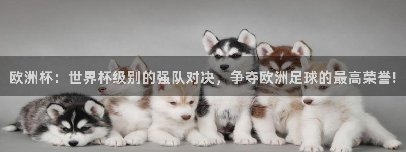 世界杯直播平台：欧洲杯：世界杯级别的强队对决，争夺欧洲足球的最高荣誉!