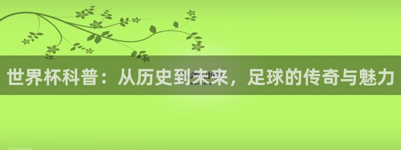 世界杯直播在线观看入口：世界杯科普：从历史到未来，足球的传奇与魅力