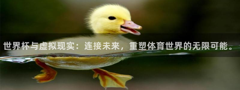 2026世界杯：世界杯与虚拟现实：连接未来，重塑体育世界的无限可能。