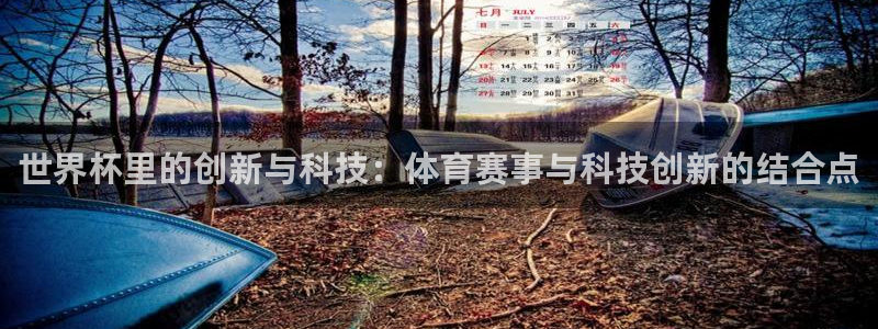 世界杯系列赛：世界杯里的创新与科技：体育赛事与科技创新的结合点