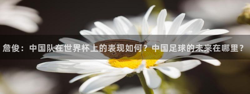 世界杯2026比赛时间表：詹俊：中国队在世界杯上的表现如何？中国足球的未来在哪里？