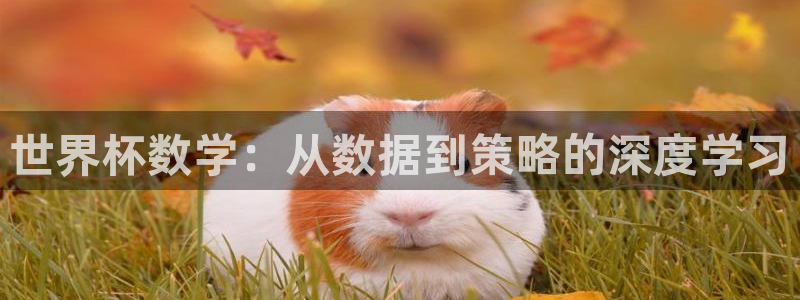 2026年世界杯：世界杯数学：从数据到策略的深度学习