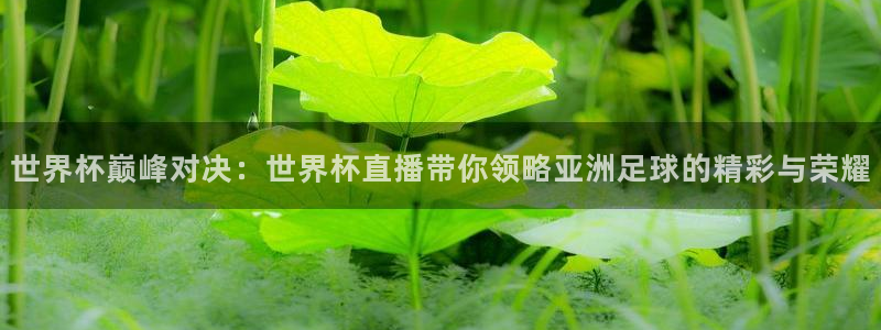 英足总杯直播：世界杯巅峰对决：世界杯直播带你领略亚洲足球的精彩与荣耀